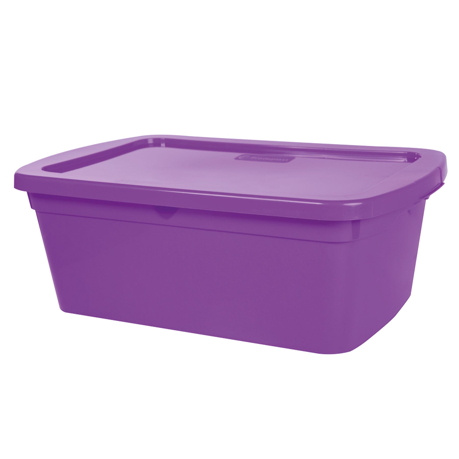 PRODEPLAST CAJA ORGANZADORA DE PLASTICO COLOR MORADO 11 LTS Ace