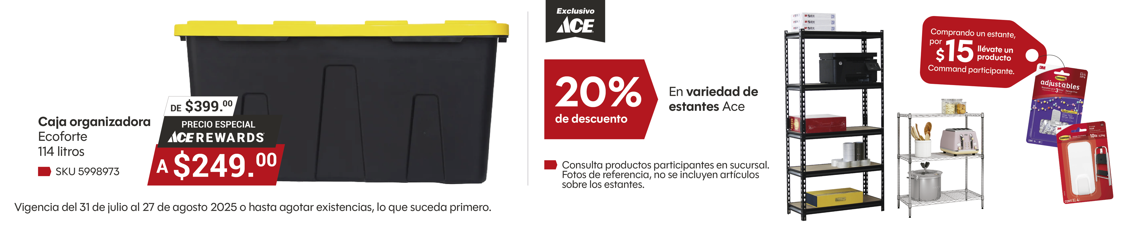 Organización