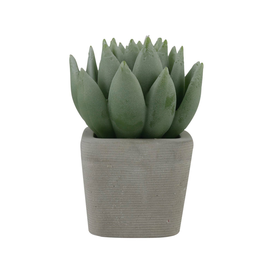 CONCEPTS LIFE VELA CACTUS V1 8.5X8.5X12.5CM