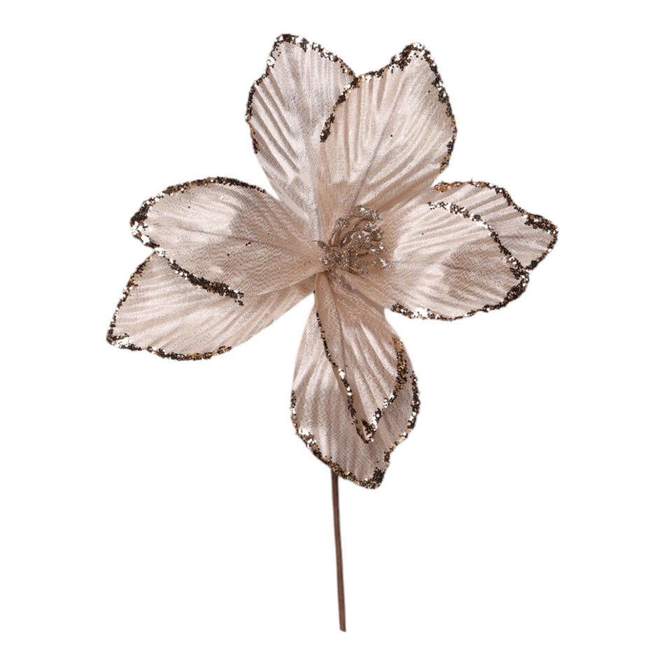 SANTINI PONSETIA DECOR 24X24X25CM CHAMPAGNE