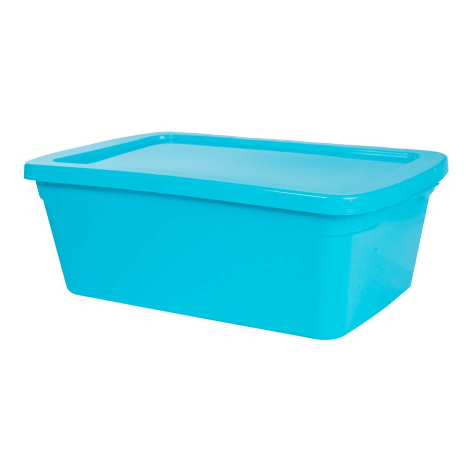 PRODEPLAST CAJA ORGANZADORA DE PLASTICO COLOR AZUL 6LTS