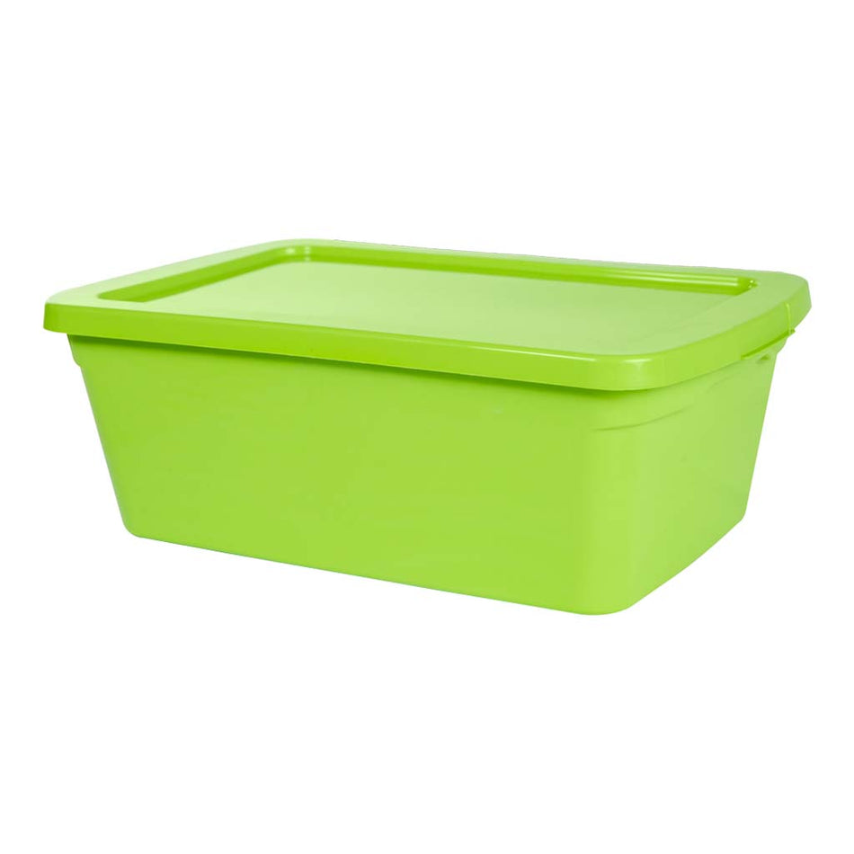 PRODEPLAST CAJA ORGANZADORA DE PLASTICO COLOR VERDE 6LTS