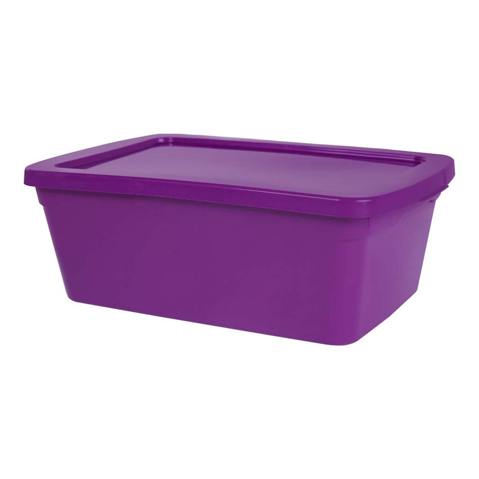 PRODEPLAST CAJA ORGANZADORA DE PLASTICO COLOR MORADO 6LTS