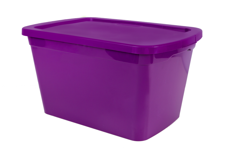 PRODEPLAST CAJA ORGANZADORA DE PLASTICO COLOR MORADO 30 LTS